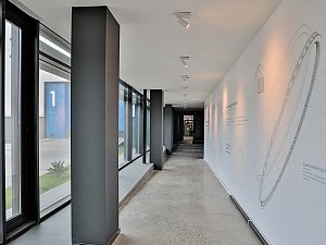 samsun_segman (21).jpg