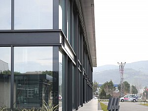 samsun_segman (5).jpg