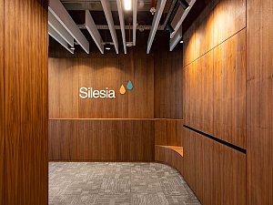 silesia (3).jpg