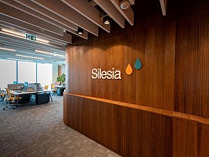 silesia (4).jpg
