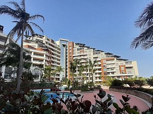 sunisblue (15).jpg