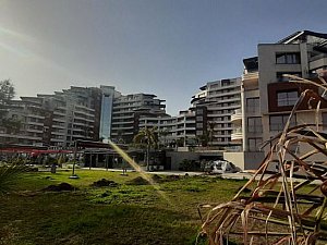 sunisblue (34).jpg