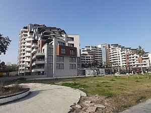 sunisblue (35).jpg