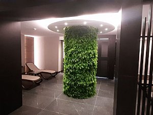 sunisblue (43).jpg
