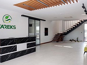 ALK02524.jpg
