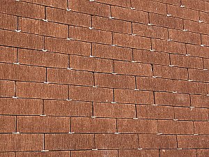 IMG_5718.JPG