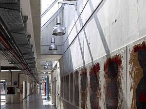 d (12).jpg