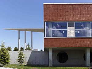 d (2).jpg