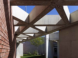 d (6).jpg