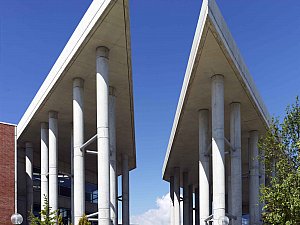 e (1).jpg