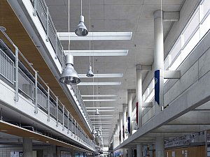 e (5).jpg