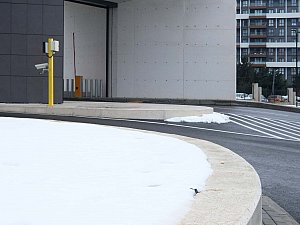 teknopark_kapilar (3).jpg
