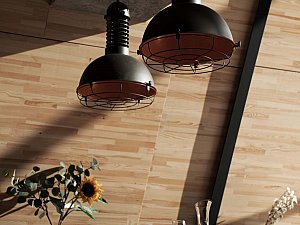 1 (6).jpg