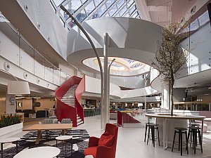 trendyol_ecarch (12).jpg