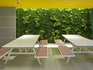 trendyol_ecarch (30).jpg