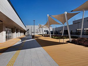 1 (13).jpg