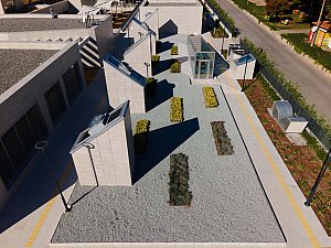 1 (24).jpg