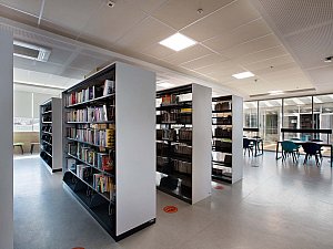 1 (41).jpg