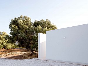 15 _ Noname Studio - Villa Uliveto _ © Francesca Iovene _ HD.jpg