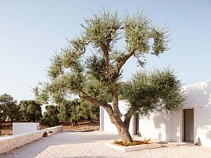 8 _ Noname Studio - Villa Uliveto _ © Francesca Iovene _ HD.jpg