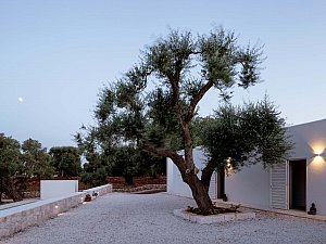 9 _ Noname Studio - Villa Uliveto _ © Francesca Iovene _ HD.jpg