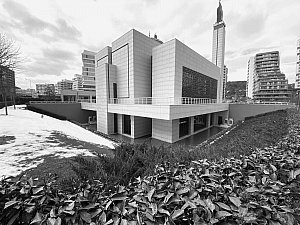 vadiistanbulc_taha (2).JPG