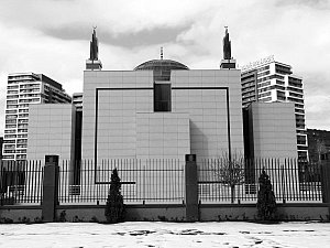 vadiistanbulc_taha (3).JPG