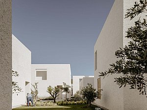 voyage_torba_baraka (6).jpg
