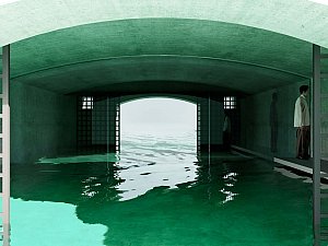 z (21).jpg