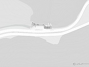 z (1).jpg