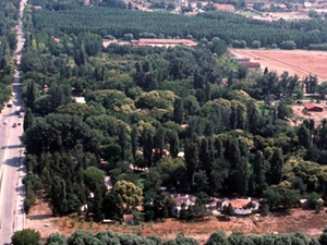 resize_aoc_torba.jpg