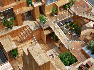 soufujimoto