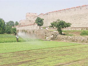 kent-ve-tarim-birbirine-muhtac-iki-arkadas-176244-5.jpg