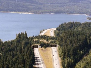 Keechelus Lake, Washington, USA.jpg