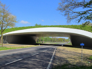N350 Ecoduct de Grimberg-4_Holland.jpg