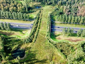 North Brabant provice, Netherlands.jpg
