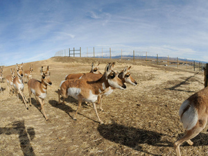 PHOTOGRAPH COURTESY JOE RIIS.jpg