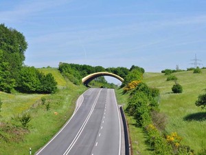 b38-birkenau-germany-animal-bridge-wildlife-crossing-overpass.jpg