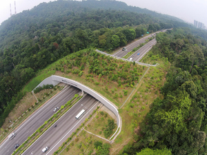 eco-link-bke-aerial-view-data.jpg