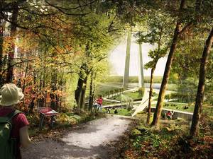 04-Forest-Trail-Emergence-View.jpg