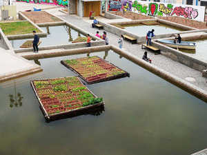 FloatingFields.jpg
