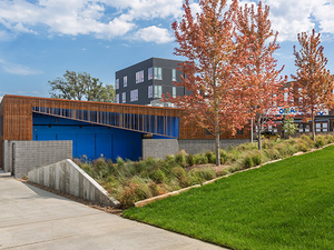 blue-barn-theatre-5555.jpg