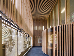 AAVP 6.jpg