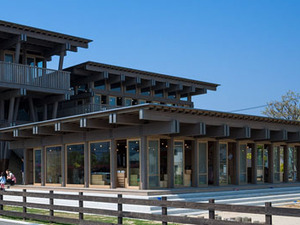 tezuka-architects-asahi-kindergarten-japan-designboom-1800730.jpg