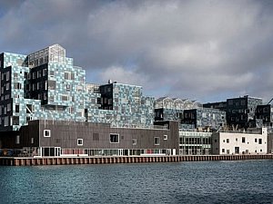 Copenhagen School 