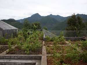 Rural Urban Frameworkten Catı Ciftlikleri 19.jpg