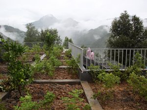 Rural Urban Frameworkten Catı Ciftlikleri 4.jpg