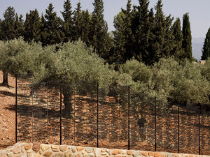 Anilarin Golgeleri 10.jpg