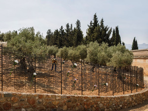 Anilarin Golgeleri 9.jpg