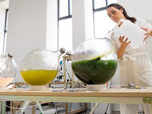 algae_1.jpg